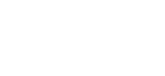 R. Michael Vang P.C.